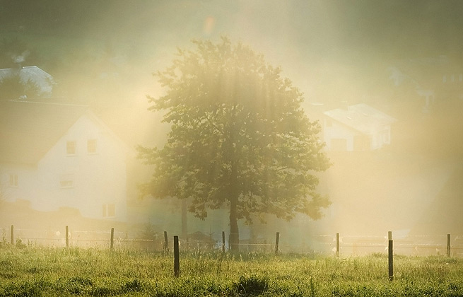 网站ddos隐藏源ip